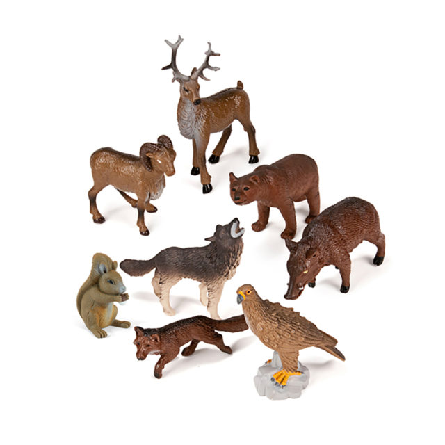Which animals live in the woods? | miniland teach&play