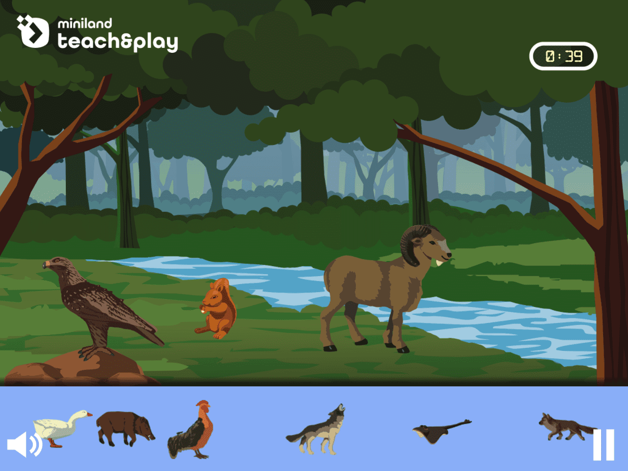 Which animals live in the woods? | miniland teach&play Which animals live in the woods? | miniland teach&play
